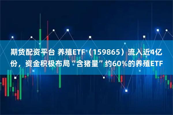 期货配资平台 养殖ETF（159865）流入近4亿份，资金积极布局“含猪量”约60%的养殖ETF
