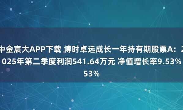 中金宸大APP下载 博时卓远成长一年持有期股票A：2025年第二季度利润541.64万元 净值增长率9.53%