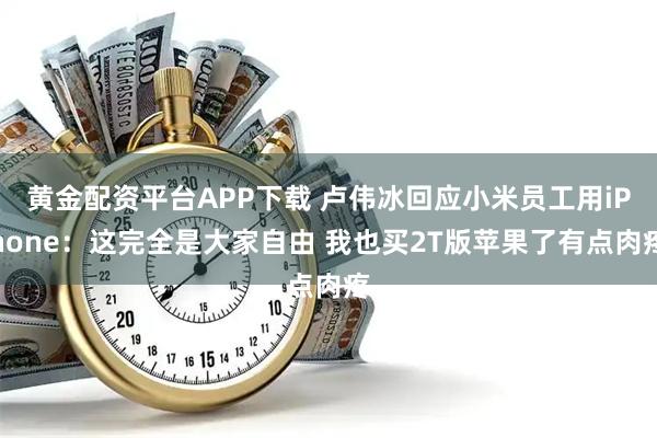 黄金配资平台APP下载 卢伟冰回应小米员工用iPhone：这完全是大家自由 我也买2T版苹果了有点肉疼