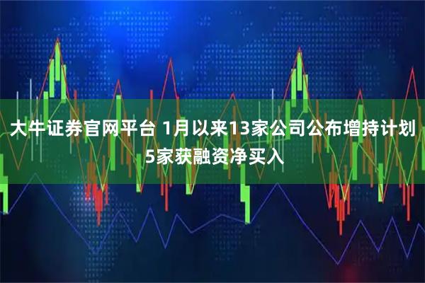 大牛证券官网平台 1月以来13家公司公布增持计划 5家获融资净买入