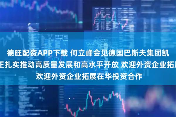 德旺配资APP下载 何立峰会见德国巴斯夫集团凯礼时指出 中国正扎实推动高质量发展和高水平开放 欢迎外资企业拓展在华投资合作