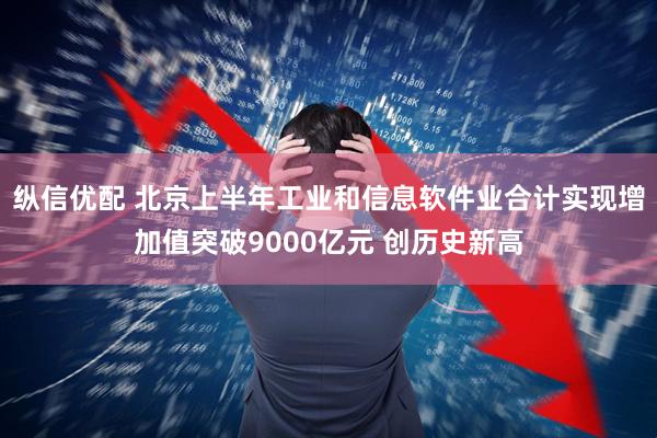 纵信优配 北京上半年工业和信息软件业合计实现增加值突破9000亿元 创历史新高